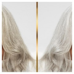 Hair Biology Silver &amp; Glowing Haarmaske  Серебряная и сияющая маска для волос