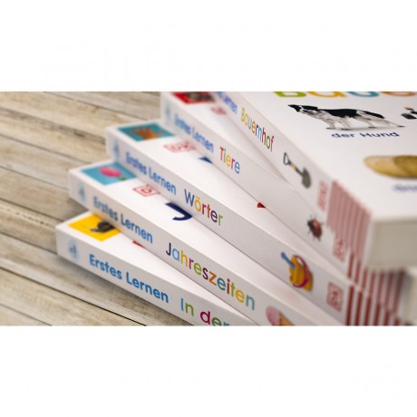 Dorling Kindersley Verlag Erstes Lernen. Farben первое обучение. Цвета