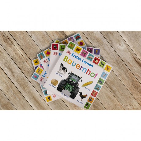 Dorling Kindersley Verlag Erstes Lernen. Farben первое обучение. Цвета