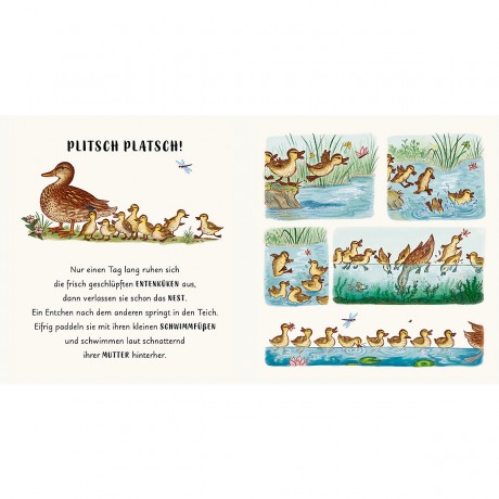 Prestel Verlag Wunder der Natur im Park Чудеса природы в парке