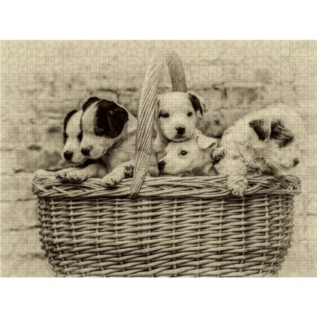 CALVENDO Puzzle CALVENDO Puzzle Ein Korb voll Gluck Пазл CALVENDO Puzzle Корзина