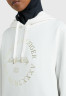 Tommy Hilfiger METALLIC ROUNDALL HOODIE Hoodie ecru Толстовка с капюшоном METALLIC ROUNDALL Толстовка с капюшоном экрю
