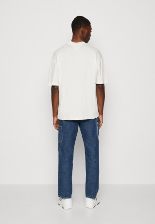 Tommy Hilfiger TOMMY HILFIGER X SHAWN MENDES ARCHIVE TEE UNISEX Print T-shirt weathered white ФУТБОЛКА TOMMY HILFIGER X SHAWN MENDES ARCHIVE UNISEX Футболка с принтом выветрившийся белый