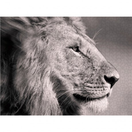 CALVENDO Puzzle CALVENDO Puzzle Emotionale Momente: Lowengesichter Пазл CALVENDO Puzzle Эмоциональные моменты: львиные морды