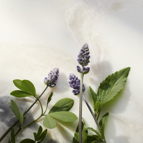 Rituals Glow Anti-Ageing Night Cream Сияющий антивозрастной ночной крем