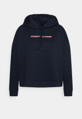 Tommy Hilfiger GRAPHIC HOODIE Sweatshirt desert sky ГРАФИЧЕСКАЯ ХУДИ Толстовка небо пустыни