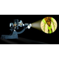 Edu-Toys Mikroskop im Handkoffer mit extra Experimentierzubehorpaket Микроскоп в переносном футляре с дополнительным комплектом экспериментальных принадлежностей.