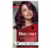 Brillance Краска для волос Violette Wildseide 859