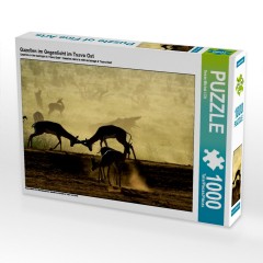 CALVENDO Puzzle CALVENDO Puzzle Gazellen im Gegenlicht im Tsavo Ost Пазл CALVENDO Puzzle Газели на фоне света в Цаво Восток