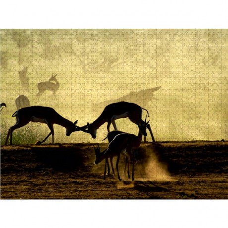 CALVENDO Puzzle CALVENDO Puzzle Gazellen im Gegenlicht im Tsavo Ost Пазл CALVENDO Puzzle Газели на фоне света в Цаво Восток