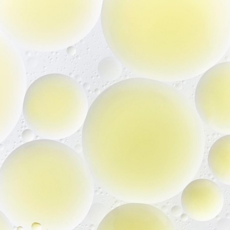 Kiehl’s Cannabis Sativa Seed Oil Herbal Concentrate Травяной концентрат масла семян конопли Sativa