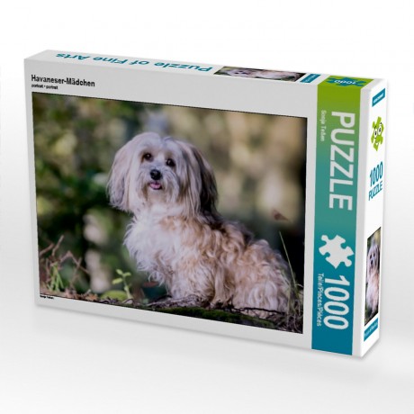 CALVENDO Puzzle CALVENDO Puzzle Havaneser-Madchen Пазл CALVENDO Пазл Гаванская девушка