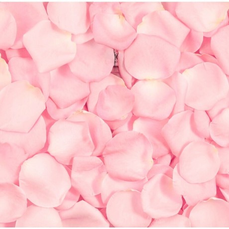 Lancome Tonique  тоник