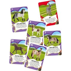 Schmidt Spiele Kartenspiel Schleich Pferdepaare Карточная игра Schleich пары лошадей