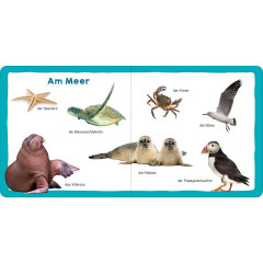 arsEdition Verlag Meine ersten 100 Tiere Мои первые 100 животных