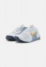 Nike Performance METCON 7 Sneaker low pure platinum/metallic gold coin/ashen slate/aluminum/thunder blue METCON 7 кроссовки женские низкие чистая платина/металлическая золотая монета/пепельный сланец/алюминий/синий гром