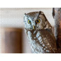 CALVENDO Puzzle CALVENDO Puzzle Kauz Пазл CALVENDO Puzzle Сова