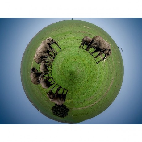 CALVENDO Puzzle CALVENDO Puzzle Der Planet der Elefanten Пазл CALVENDO Puzzle Планета слонов