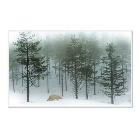 CALVENDO Puzzle CALVENDO Puzzle Emotionale Momente: Der Eisbar. \/ CH-Version Пазл CALVENDO Пазл Эмоциональные моменты: ледяной бар. \/ версия CH