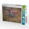 CALVENDO Puzzle CALVENDO Puzzle Afrikanischer Leopard Пазл CALVENDO Пазл Африканский леопард