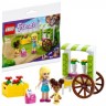 LEGO Friends 2er Set: 30413 Blumenwagen - Polybag + 41450 Heartlake City Kaufhaus Набор «Друзья» из 2 предметов: 30413 Цветочная тележка — полиэтиленовый пакет + 41450 Универмаг Heartlake City