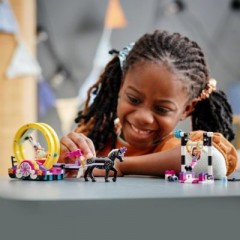 LEGO LEGO Friends 41686 Magische Akrobatikshow LEGO Friends 41686 Волшебное акробатическое шоу