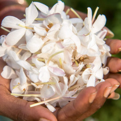 Weleda Aroma Shower Relax Gel Ароматический гель для душа Weleda для расслабления 200мл