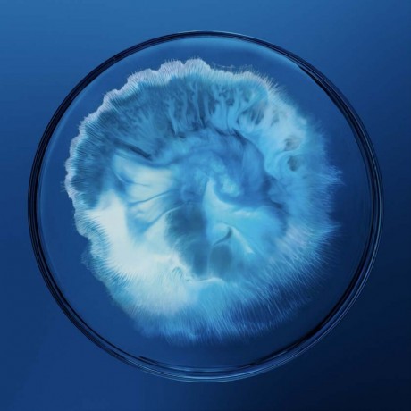 Biotherm Black Mask  Черная маска