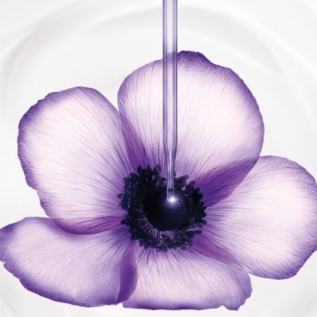 Lancome Renergie Multi-Lift Creme SPF 15  Renergie Multi-Lift Cream SPF 15