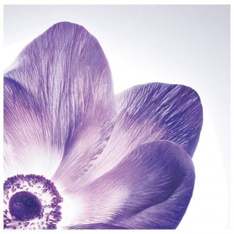 Lancome Renergie Multi-Lift Creme SPF 15  Renergie Multi-Lift Cream SPF 15