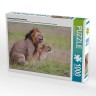 CALVENDO Puzzle CALVENDO Puzzle Lowenkampf  Lowenliebe Пазл CALVENDO Puzzle Lion fight Lion love