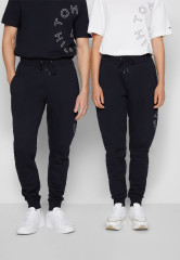 Tommy Hilfiger ROUNDALL GRAPHIC SWEATPANT UNISEX Tracksuit bottoms desert sky СПОРТИВНЫЕ БРЮКИ ROUNDALL GRAPHIC UNISEX Спортивные штаны небо пустыни