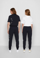 Tommy Hilfiger ROUNDALL GRAPHIC SWEATPANT UNISEX Tracksuit bottoms desert sky СПОРТИВНЫЕ БРЮКИ ROUNDALL GRAPHIC UNISEX Спортивные штаны небо пустыни