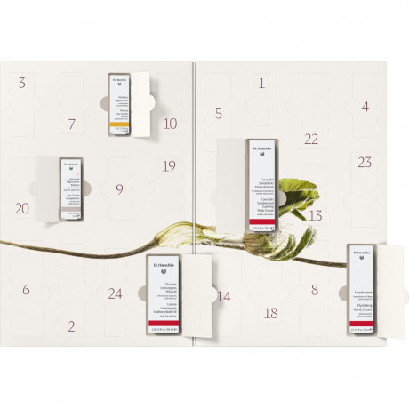 Dr. Hauschka Adventskalender 2026, Dr. Hauschka Адвент-календарь 2026 с натуральным уходом за лицом, глазами, губами, руками и телом, 24 средства