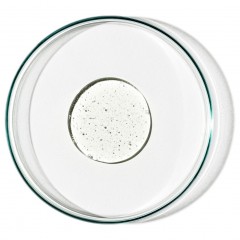 Grown Alchemist Cedarwood Atlas, Ylang Ylang, Tangerine  Атласский кедр, Иланг-иланг, Танжерин