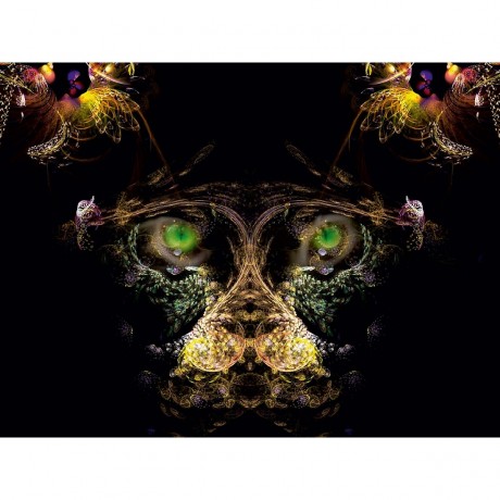 CALVENDO Puzzle CALVENDO Puzzle der Affe Пазл CALVENDO Пазл обезьянка