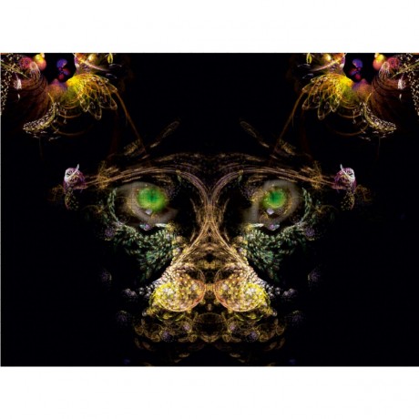 CALVENDO Puzzle CALVENDO Puzzle der Affe Пазл CALVENDO Пазл обезьянка