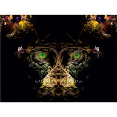 CALVENDO Puzzle CALVENDO Puzzle der Affe Пазл CALVENDO Пазл обезьянка