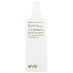 EVO Mister Fantastic Blowout Spray  Спрей Mister Fantastic Blowout
