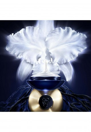 GUERLAIN GUERLAIN ORCHIDEE IMPERIALE LEICHTE CREME Gesichtscreme transparent GUERLAIN ORCHIDEE IMPERIALE ЛЕГКИЙ КРЕМ Крем для лица
