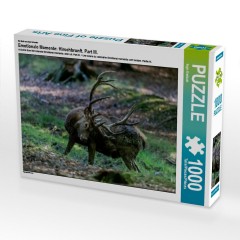 CALVENDO Puzzle CALVENDO Puzzle Emotionale Momente: Hirschbrunft. Part III. Пазл CALVENDO Пазл Эмоциональные моменты: Оленья гонка. Часть 3