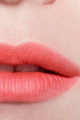 Chanel ROUGE COCO LIP BLUSH Шанель Руж Коко Румяна Блеск для Губ Лимитированная коллекция
