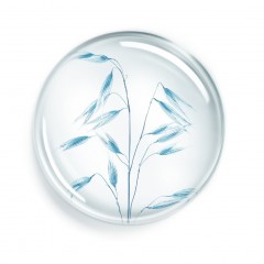 Annayake Soin des mains nourrissant 24H Soin des mains nourrissant 24H