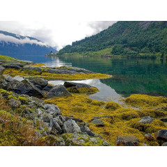 CALVENDO Puzzle CALVENDO Puzzle Sognefjord Пазл CALVENDO Пазл Согнефьорд
