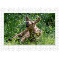 CALVENDO Puzzle CALVENDO Puzzle Emotionale Momente: Europaischer Elch Part II Пазл CALVENDO Puzzle Emotional Moments: European Moose Part II