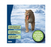 Schleich Dinosaurs Sabelzahntiger 15054, Фигурка динозавра саблезубого тигра (Германия), реалистичный динозавр, 14 см, ручная роспись, от 5 лет