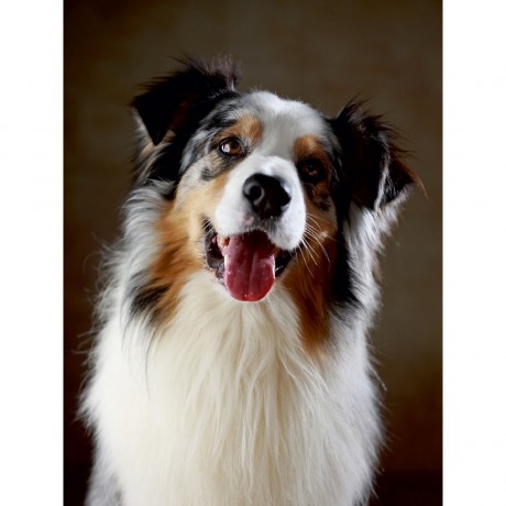 CALVENDO Puzzle CALVENDO Puzzle Cash Пазл CALVENDO Пазл Кэш