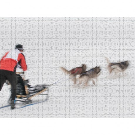 CALVENDO Puzzle CALVENDO Puzzle Emotionale Momente: The Art of Huskys. \/ CH-Version Пазл CALVENDO Пазл Эмоциональные моменты: Искусство хаски. \/ версия CH