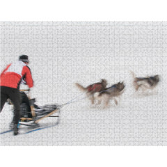 CALVENDO Puzzle CALVENDO Puzzle Emotionale Momente: The Art of Huskys. \/ CH-Version Пазл CALVENDO Пазл Эмоциональные моменты: Искусство хаски. \/ версия CH