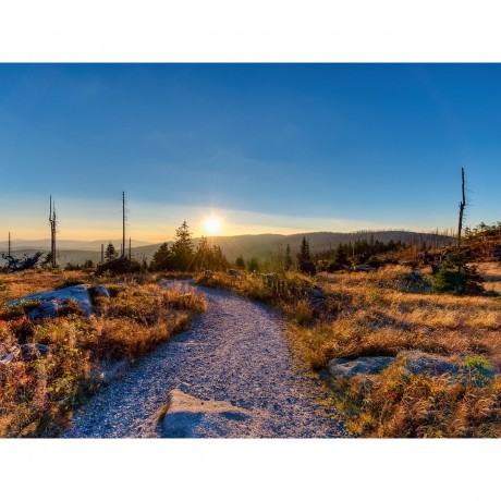 CALVENDO Puzzle CALVENDO Puzzle Morgens auf dem Dreisessel Пазл CALVENDO Puzzle Утром на трех стульях